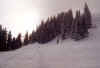07.jpg (61002 octets)